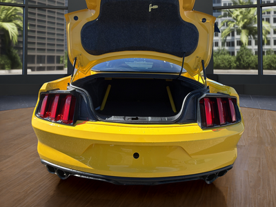 2017 Ford Mustang Shelby GT350