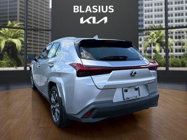 2024 Lexus UX 250h Premium