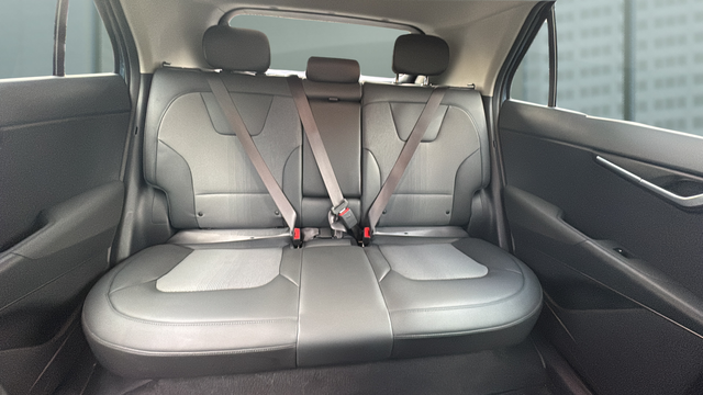 2024 Kia Niro EV Wind